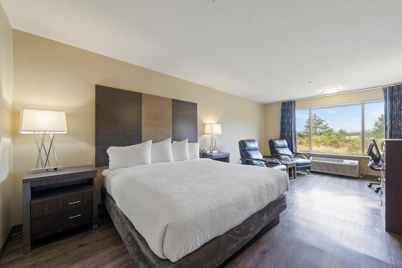 לונג ביץ' Oceanview Inn At The Arch מראה חיצוני תמונה